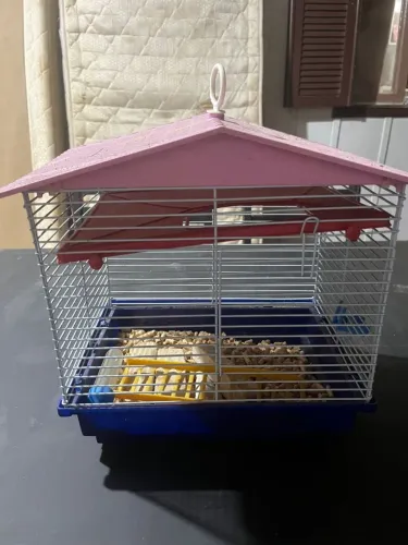 Kit de gaiolas para hamster