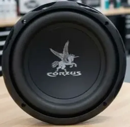 Caixa de som subwoofer Corzus 250 e 2ohm 8polegadas 