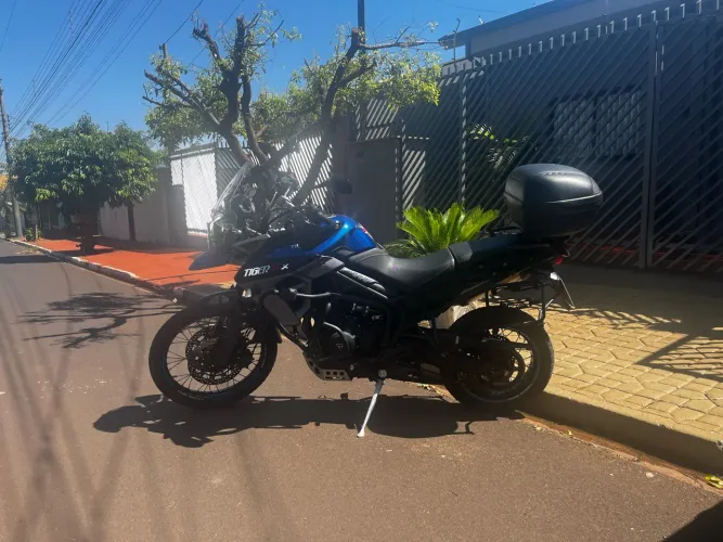 Tiger 800 xcx
