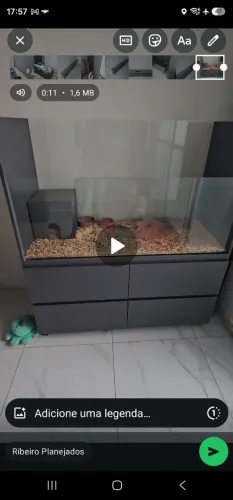 Terrário para animais exóticos, e tbm dá para transformar em cômoda.
