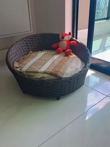 Chaise de fibra sintética para pet pequeno porte