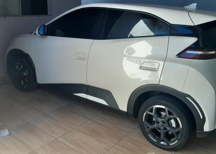 BYD Dolphin Mini GL 2026