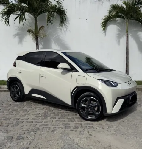 BYD Dolphin Mini (Elétrico) 2027
