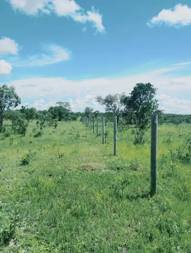 CHÁCARA DE 43,3381 HECTARES EM DIANÓPOLIS TO