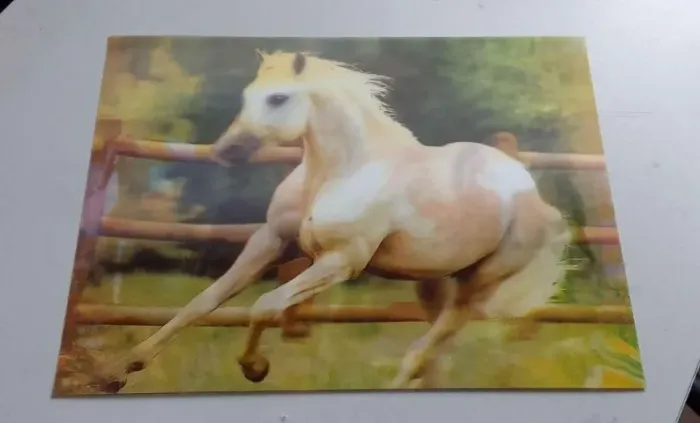 Quadro 3D Cavalos