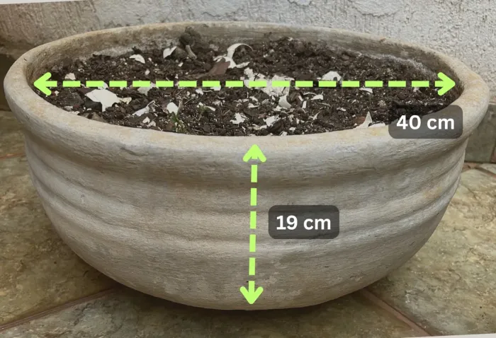 Vaso circular de concreto com terra adubada