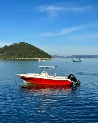 FLY FISH 230 Ano 2011 parelha Mercury 90hp