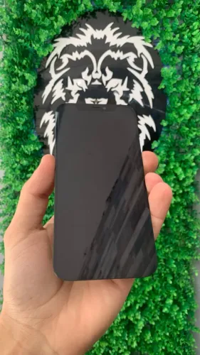 display iphone  12 original 