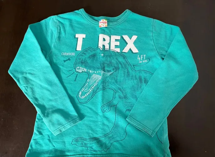 Camiseta moletom Manga Longa tamanho 10