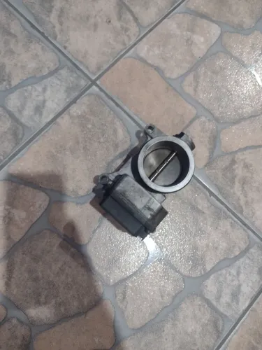 Corpo de borboleta