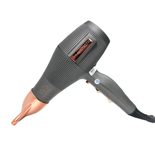 Secador WS Fantastic Ionic Power 220V