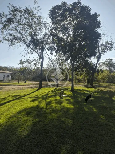 Linda chácara com 3 hectares a 10 minutos da Ambev a 207 metros de distância do Rio Cuiabá