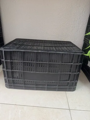 Caixas
