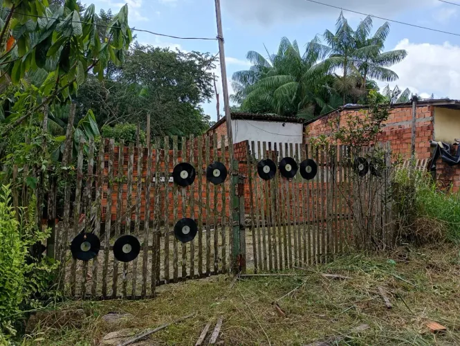 Vende-se dois terrenos no Icuí
