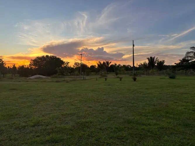 FAZENDA À VENDA - PORTO VELHO/RO