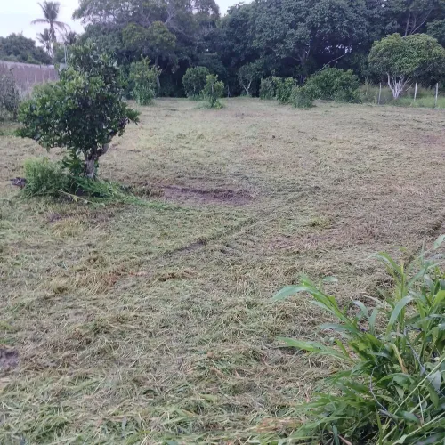 Terreno para venda no município de Salgado