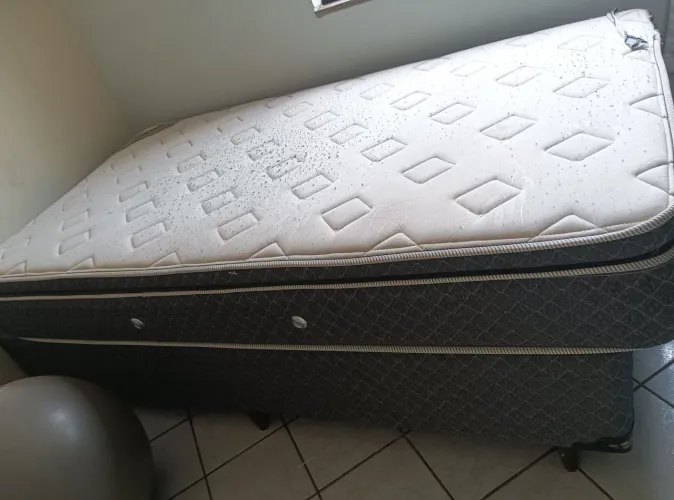 Cama