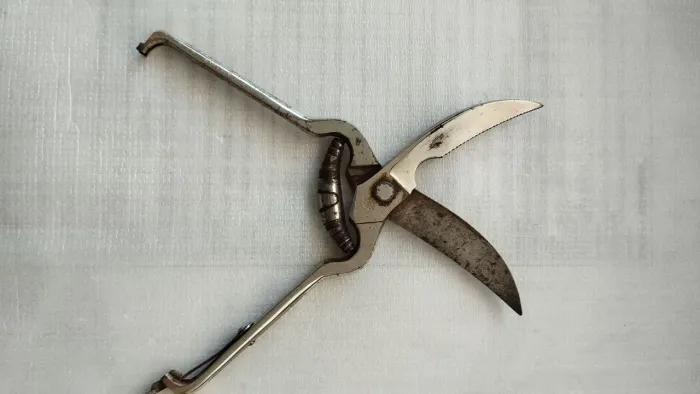 Tesoura alemã para cortes de aves marca Hugo Linder Deltawerk Solingen. Anos 60