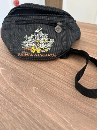 Pochete da Disney