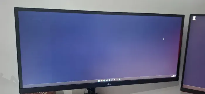 Monitor LG Ultrawide 29WL500-B