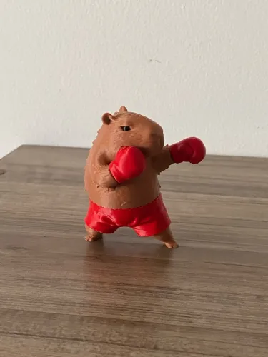 Capivara Boxeadora