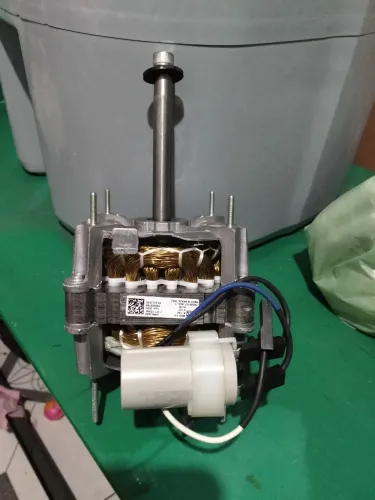 Motor Centrífuga 127V wanke