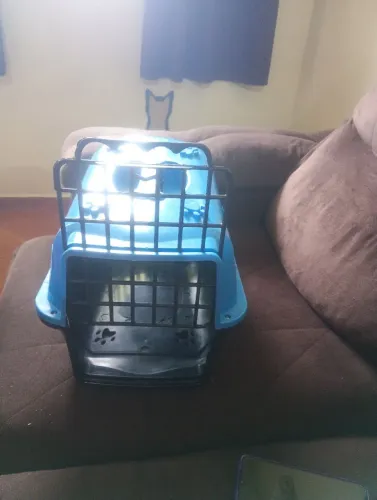 Caixa de transporte para gato