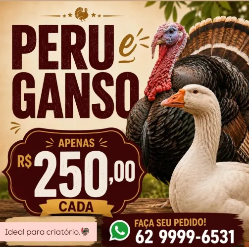 Vende-se Peru