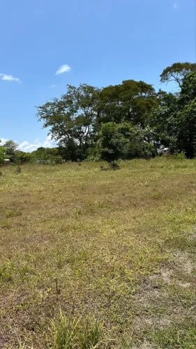 Lotes a venda no polo da fazendinha