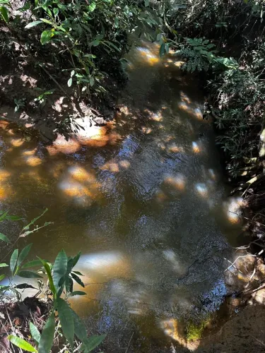 Chácara gameleira de Goiás