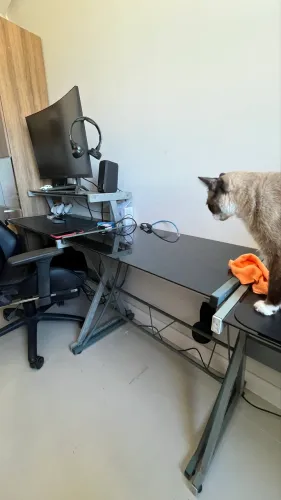 Mesinha de computador