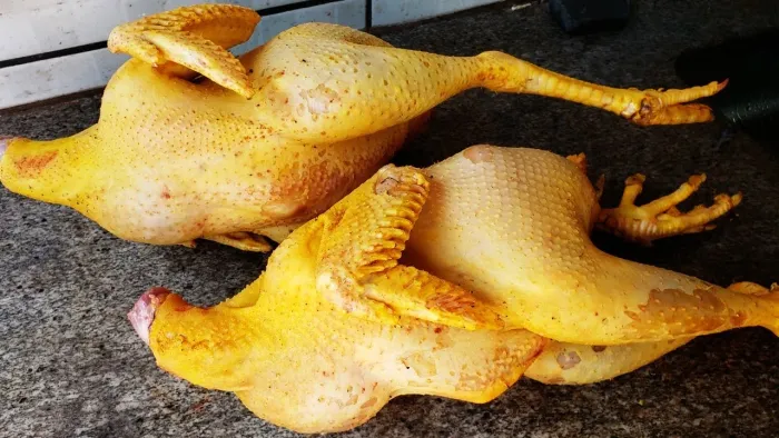 Galinha caipira