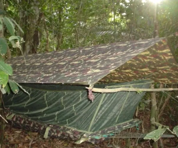 Rede de selva 