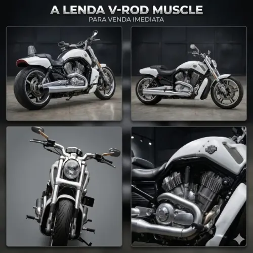 Harley-Davidson V-Rod Muscle VRSCF 2013 - Branca - Impecável