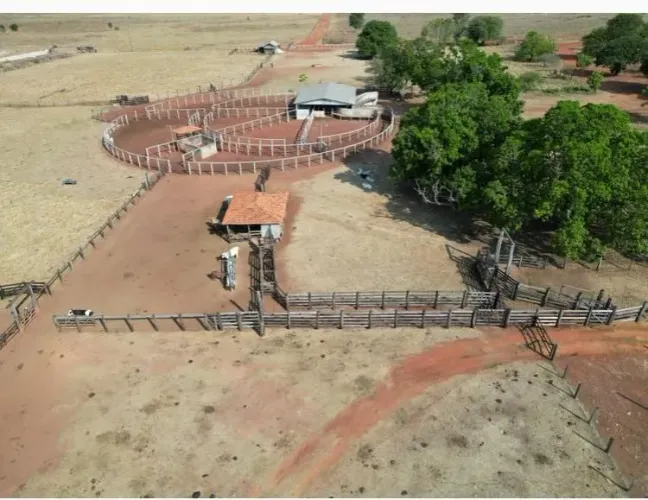 Fazenda Modelo 840 Alqueires Vale do Araguaia - Goiás 