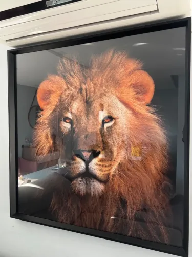 Quadro Grande Leão 