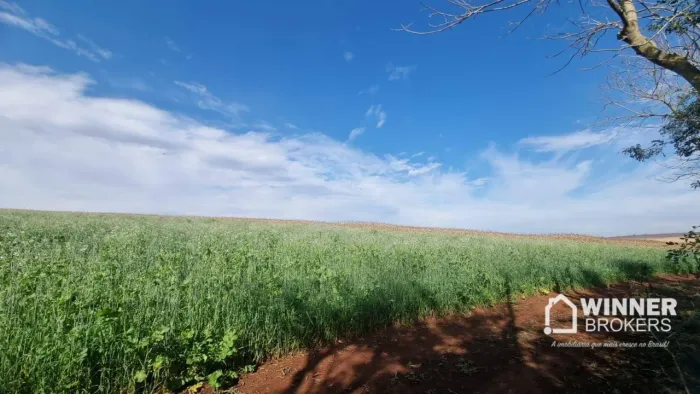 Sítio à venda, 72600 m² por R$ 1.300.000,00 - Rural - Ourizona/PR