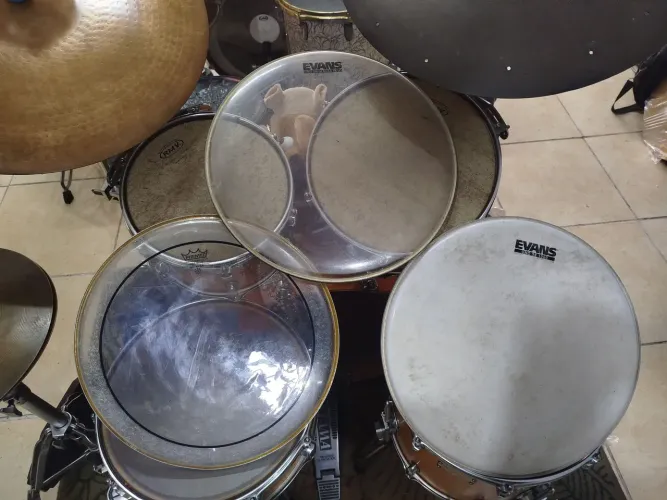 Peles para bateria 15"