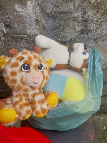 Nincho e pelúcias 