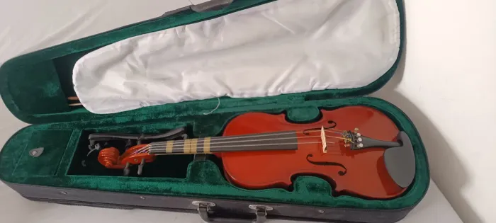 Violino 4x4