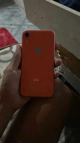 iPhone XR