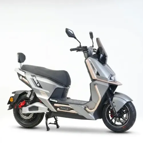 Moto Elétrica Tailg T73 1000W Gray 72V35Ah