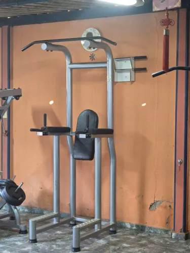 Paralela Abdominal Tubolar Rocha