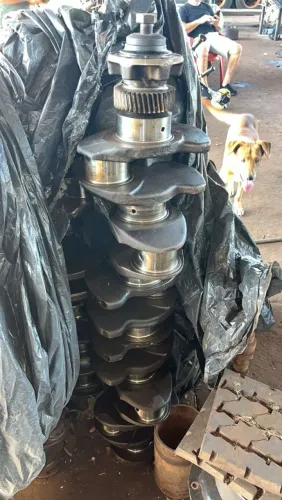 Virabrequim FH D12