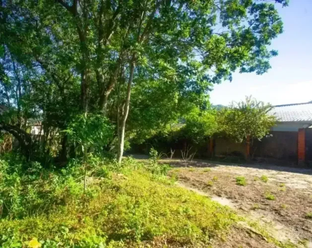 Terreno à venda no Rio Tavares codigo: 353775