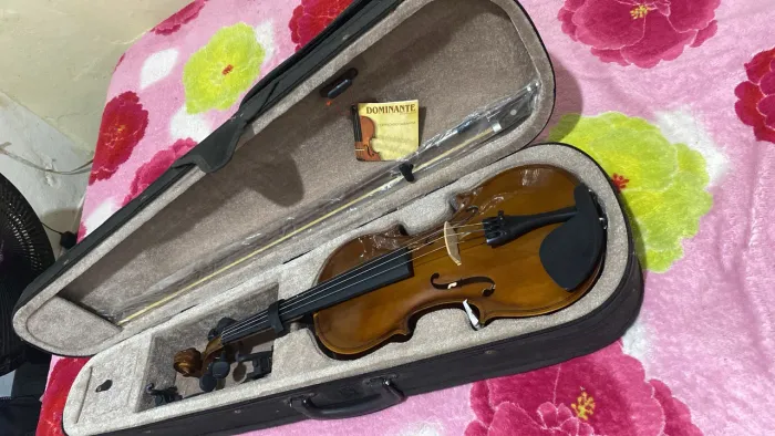 Vendo violino em perfeito estado 