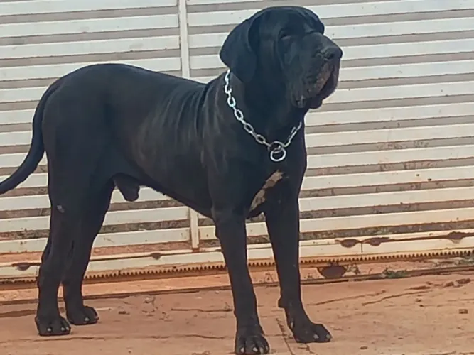 Disponível para cruzar