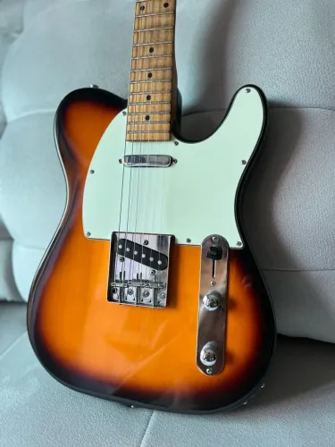 Guitarra Telecaster MICHAEL (Top)