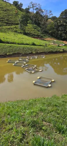 Tanque rede para criação de peixe