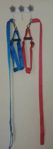Vendo peitoral para cães.